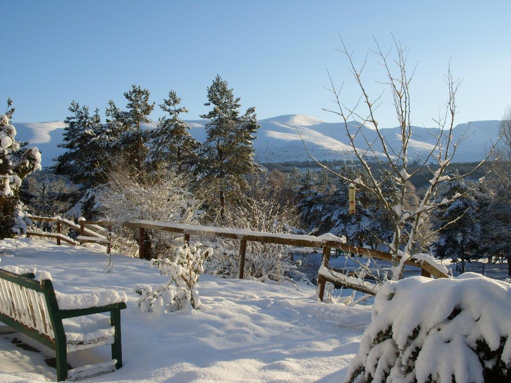 Cairngorm Lodge Youth Hostel Loch Morlich Екстер'єр фото