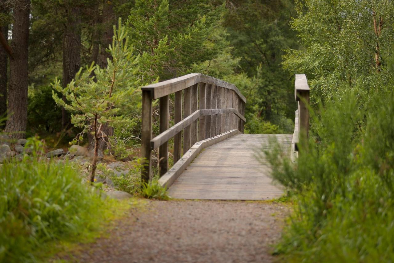 Cairngorm Lodge Youth Hostel Loch Morlich Екстер'єр фото