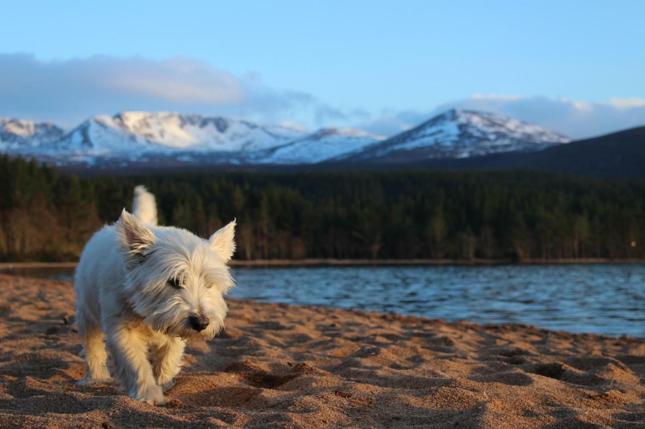 Cairngorm Lodge Youth Hostel Loch Morlich Екстер'єр фото