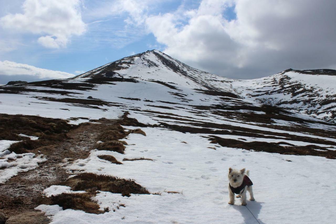 Cairngorm Lodge Youth Hostel Loch Morlich Екстер'єр фото